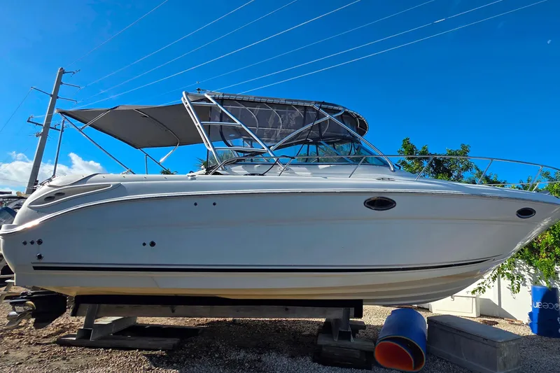 The Image of 2006 Sea Ray 290 Amberjack boat on clear water with city skyline in background. - 0