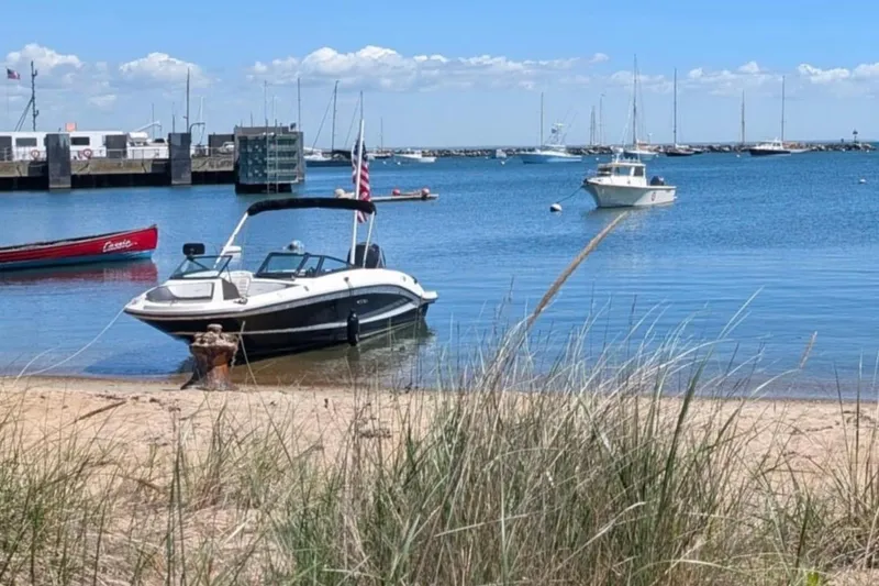 The Image of 2016 Sea Ray SPX 210 Outboard boat docked on a sandy beach with marina backdrop. - 0