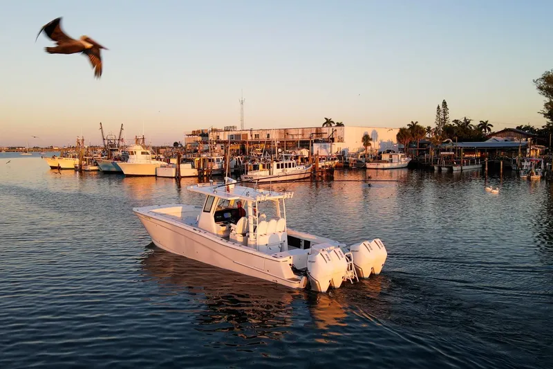 The Image of 2022 World Cat 400 CC-X boat cruising in a scenic harbor at sunset with a bird flying overhead. - 0