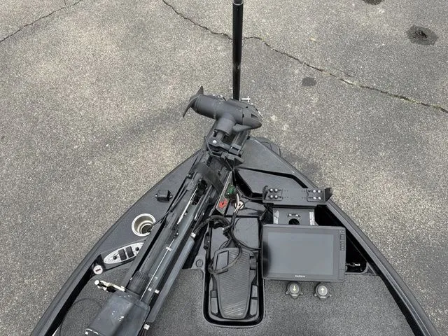 Slide: The Image of Bass Cat Puma 2022 - 3