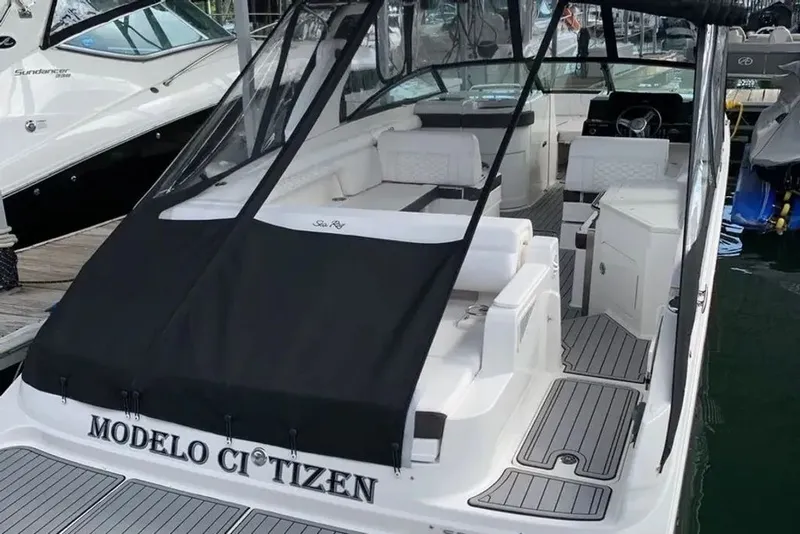 Slide: The Image of Sea Ray SDX 290 2019 - 10