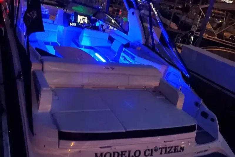 Slide: The Image of Sea Ray SDX 290 2019 - 18