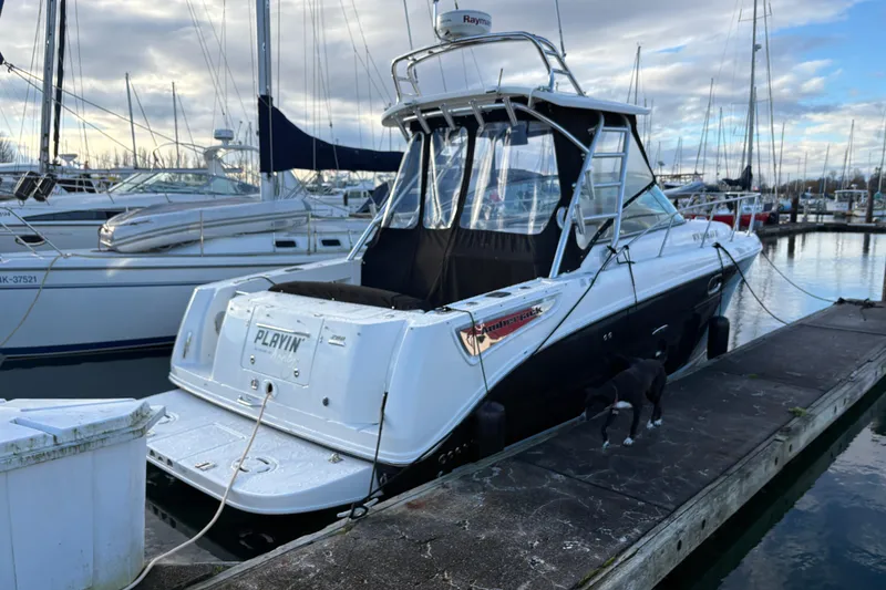 Slide: The Image of 2009 Sea Ray 290 Amberjack docked at marina, overcast sky, with a dog on the pier. - 19