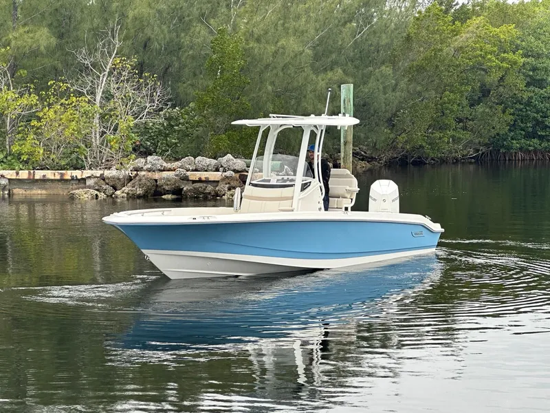 Slide: The Image of Boston Whaler 250 Dauntless 2026 - 1