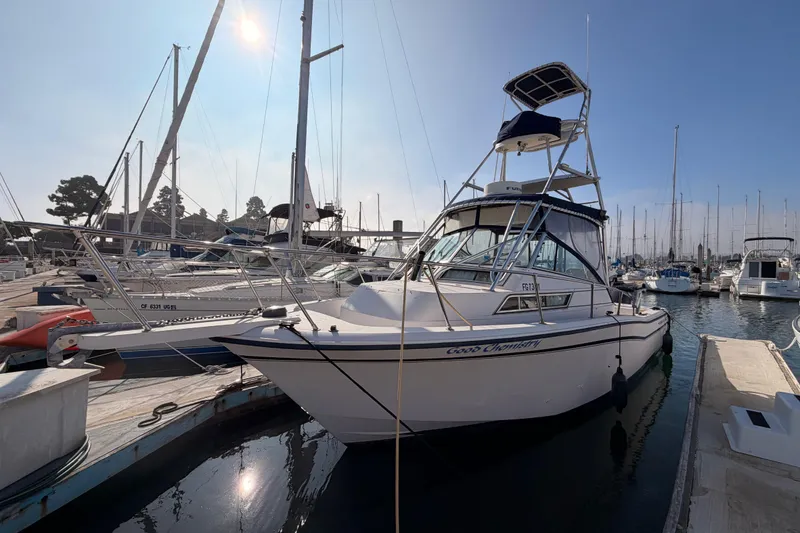 The Image of 1993 Grady-White Marlin 300 boat docked in a marina under clear blue sky. - 0