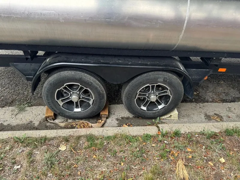 Slide: The Image of Premier Sunsation 2022 - 14