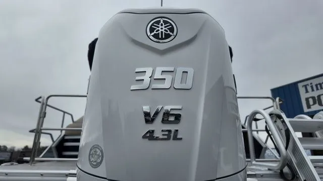 Slide: The Image of Bennington M Swingback 24 MSB 2026 - 51