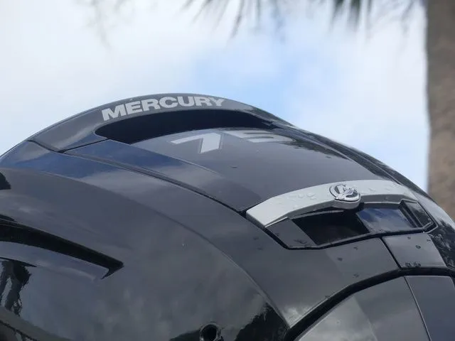 Slide: The Image of Sun Tracker Bass Buggy 18 DLX 2026 - 10