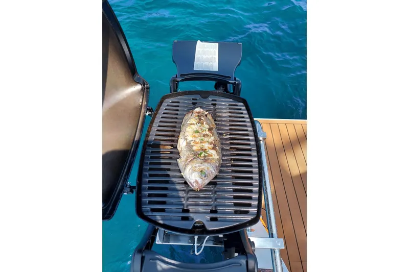 Slide: The Image of Grilled fish on a barbecue aboard a 2019 Lagoon 42 catamaran, with ocean backdrop. - 13