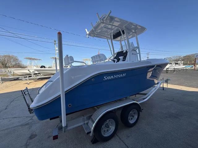 Slide: The Image of Savannah 2200 2026 - 7