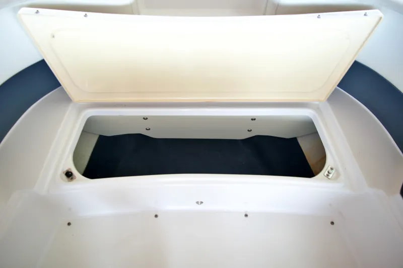 Slide: The Image of 2020 COBALT 25 SC - Image 68 - 68