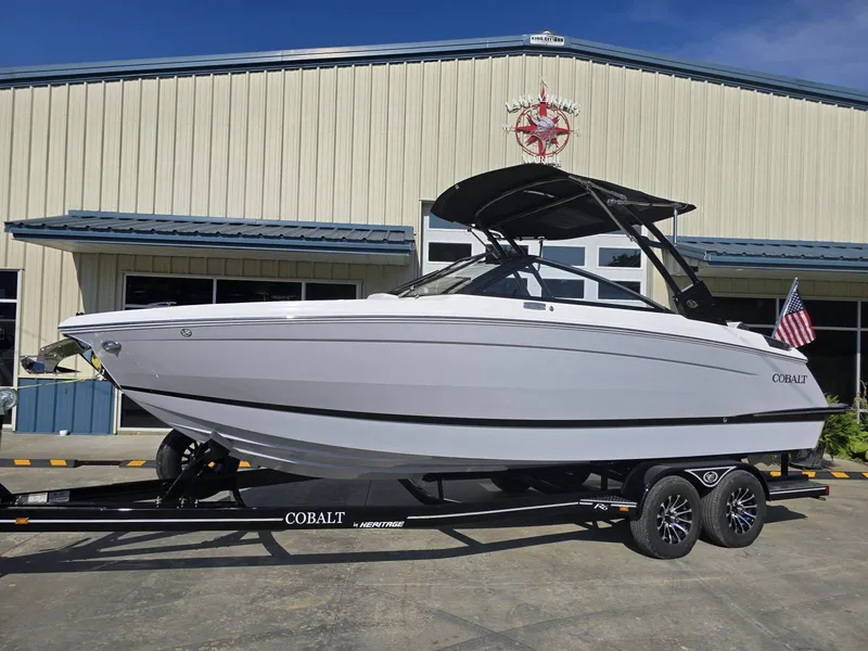 The Image of Cobalt R6 2026 - 1