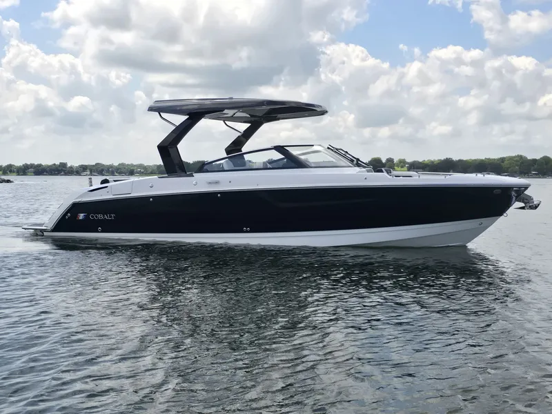 The Image of Cobalt R31 2026 - 1