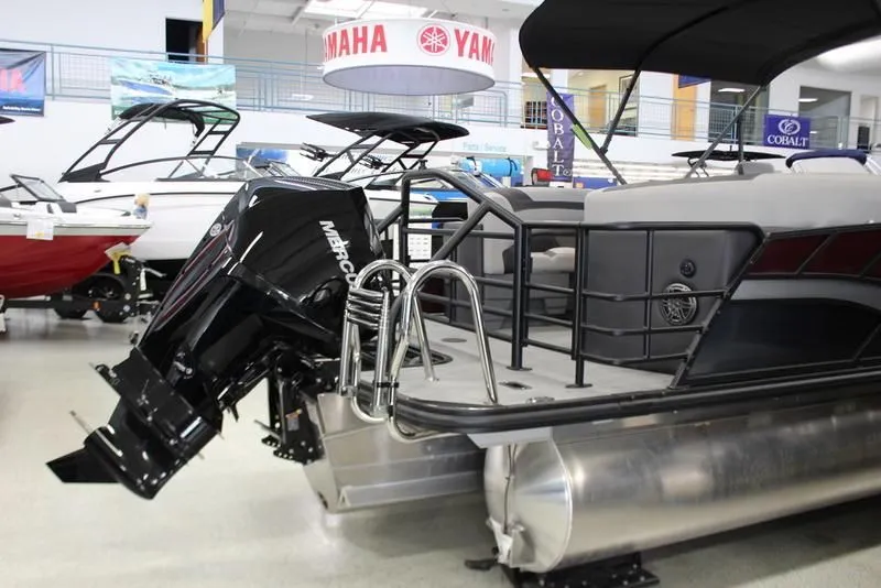 Slide: The Image of Sylvan L-3 LZ 2024 - 48