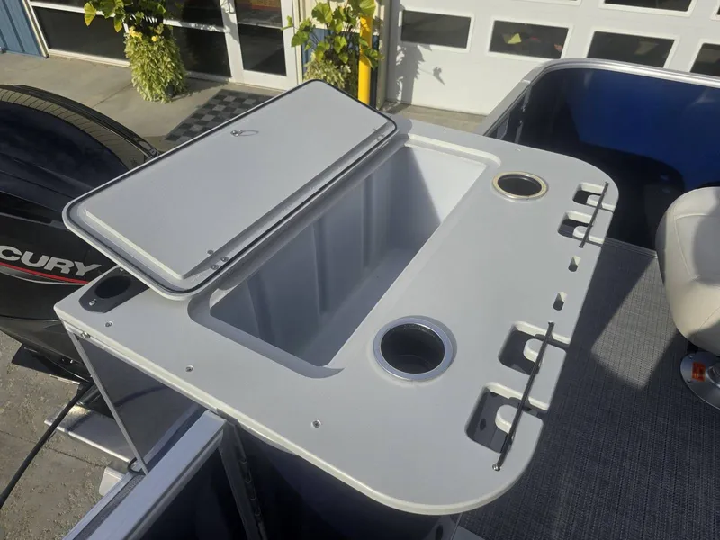 Slide: The Image of Sylvan Mirage 8522 Party Fish 2025 - 25