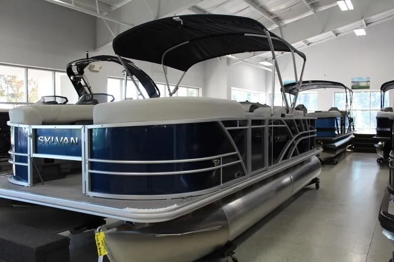 Slide: The Image of Sylvan Mirage 8522 Party Fish 2025 - 27