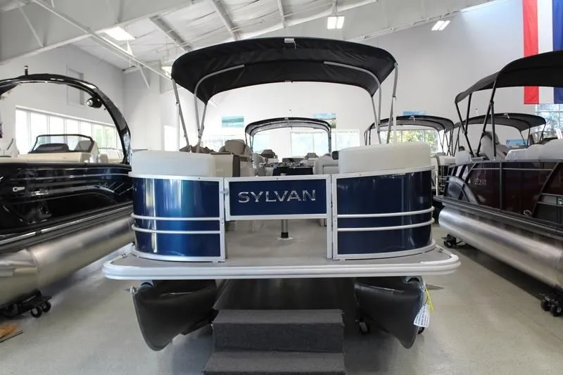 Slide: The Image of Sylvan Mirage 8522 Party Fish 2025 - 28