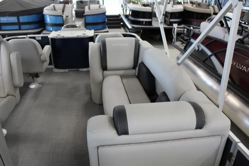 Slide: The Image of Sylvan Mirage 8522 Party Fish 2025 - 32