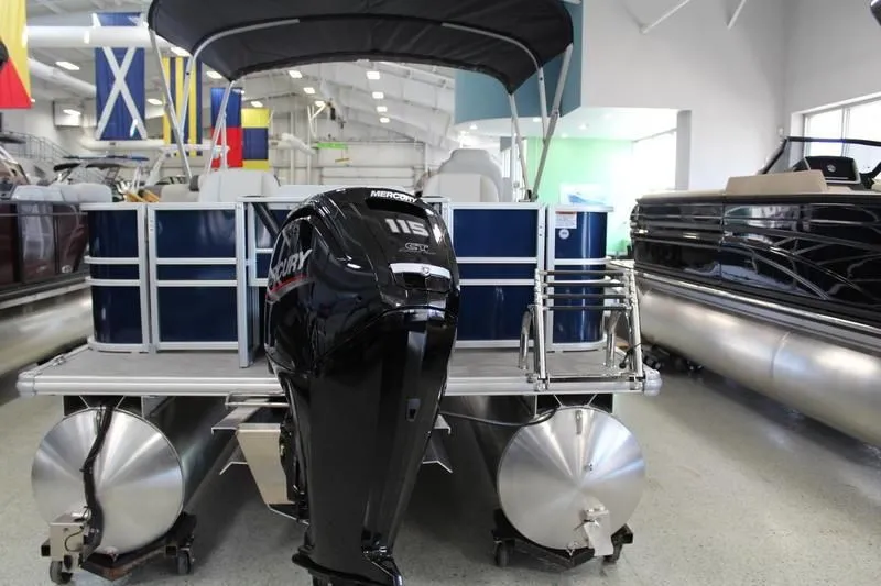 Slide: The Image of Sylvan Mirage 8522 Party Fish 2025 - 33