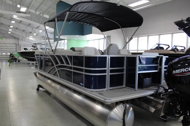 Slide: The Image of Sylvan Mirage 8522 Party Fish 2025 - 34