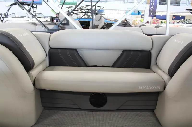 Slide: The Image of Sylvan Mirage 8522 Party Fish 2025 - 42