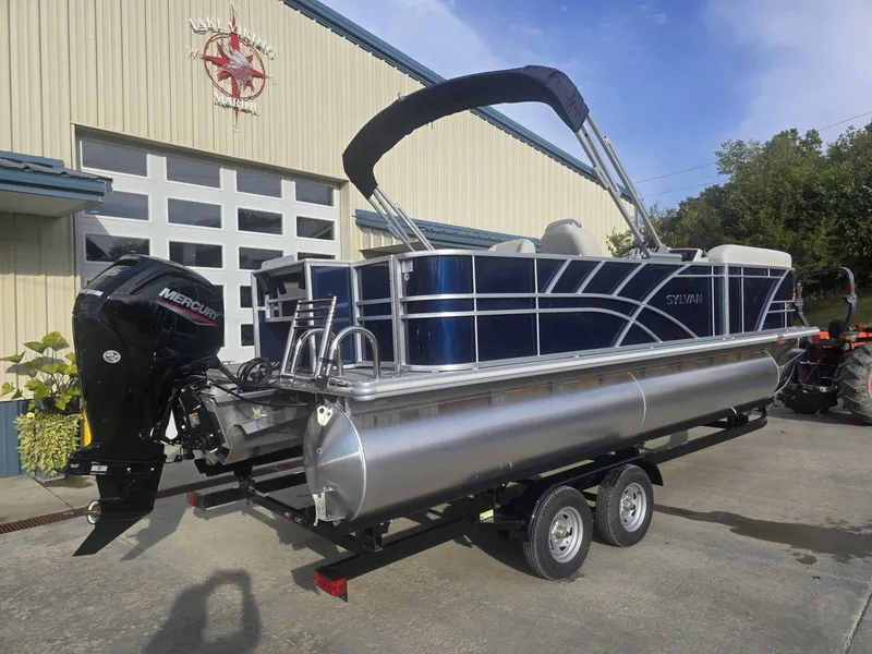 Slide: The Image of Sylvan Mirage 8522 Party Fish 2025 - 5