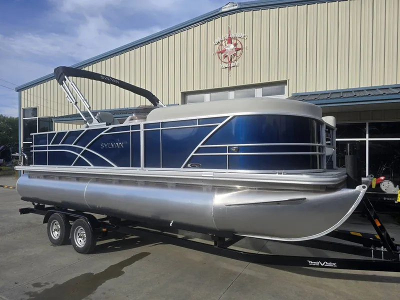 Slide: The Image of Sylvan Mirage 8522 Party Fish 2025 - 7