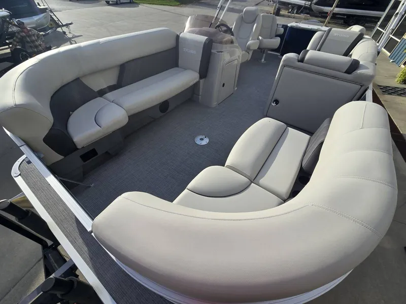 Slide: The Image of Sylvan Mirage 8522 Party Fish 2025 - 8