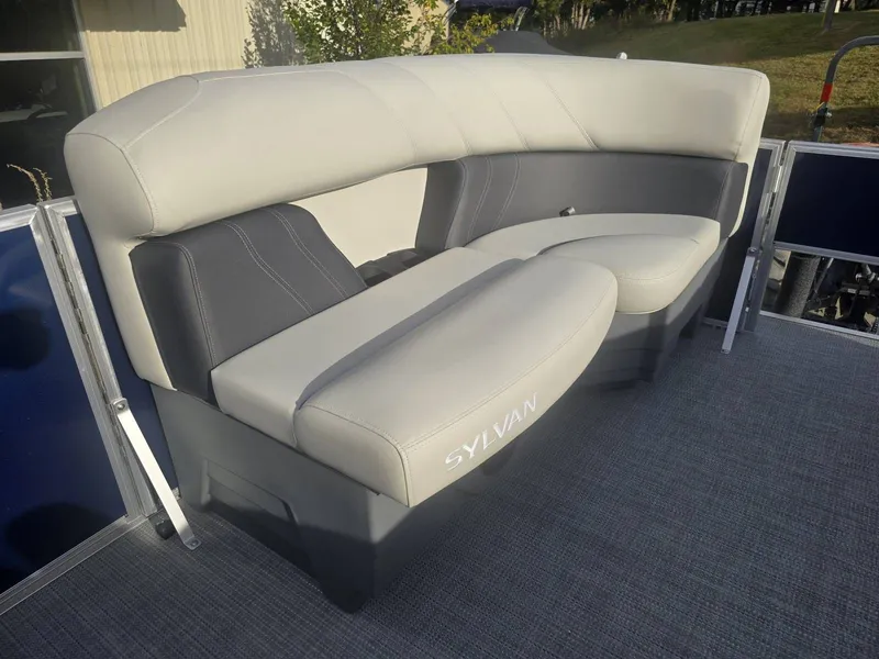 Slide: The Image of Sylvan Mirage 8522 Party Fish 2025 - 9