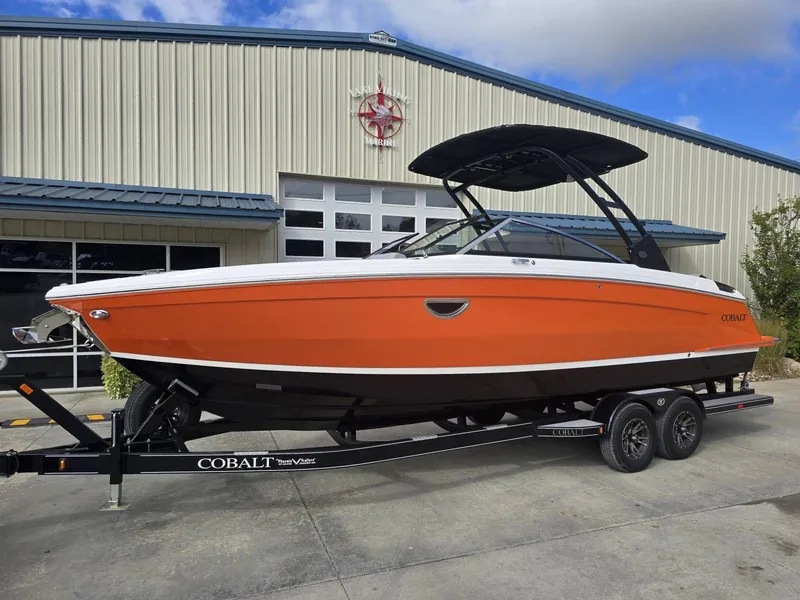 The Image of Cobalt R8 2024 - 1