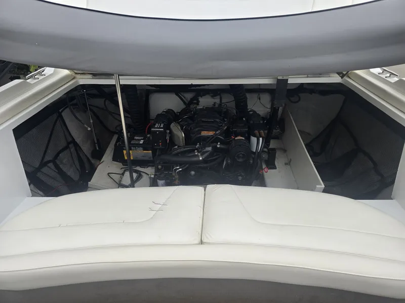 Slide: The Image of Cobalt 232 2001 - 16