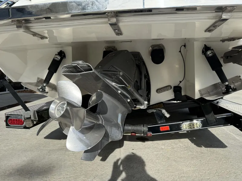 Slide: The Image of Cobalt 276 2010 - 5