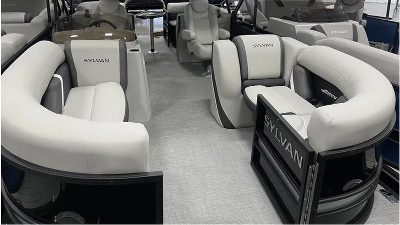 Slide: The Image of Sylvan Mirage X3 2024 - 5