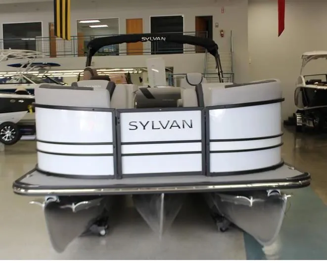 Slide: The Image of Sylvan L5 Dlz Dh Bar 2024 - 12