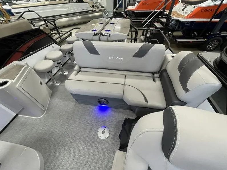 Slide: The Image of Sylvan L5 Dlz Dh Bar 2024 - 17