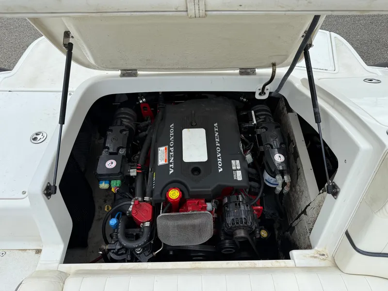 Slide: The Image of Cobalt 240 2005 - 8