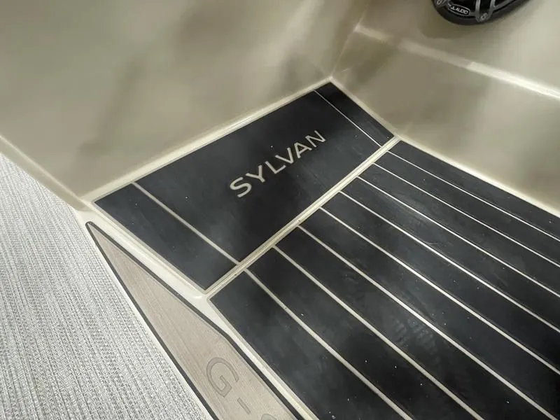 Slide: The Image of Sylvan C-5 Clz Dc 2024 - 18