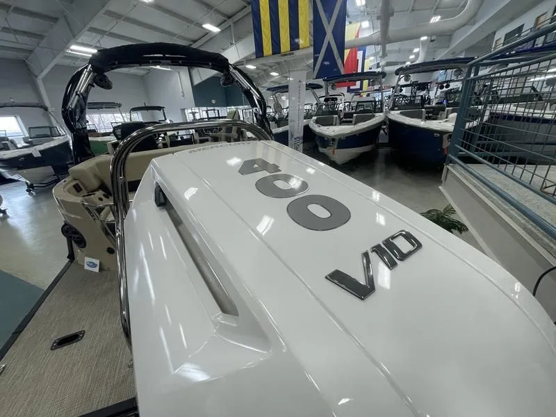 Slide: The Image of Sylvan C-5 Clz Dc 2024 - 9