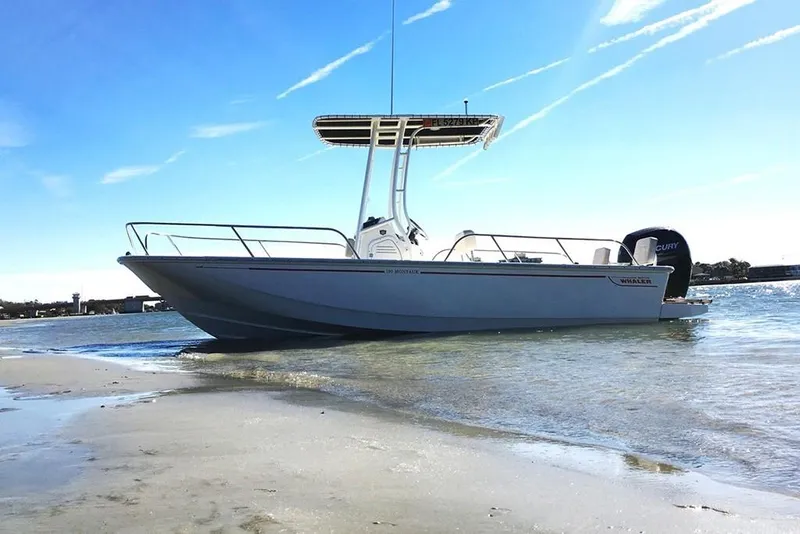 The Image of Boston Whaler 190 Montauk 2023 - 0