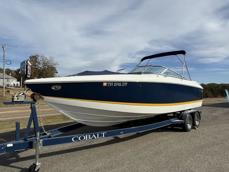 The Image of Cobalt 250 2004 - 1