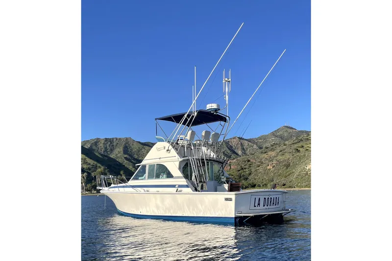 Slide: The Image of 1980 Bertram 35 Flybridge anchored @ Whites Landing. - 1