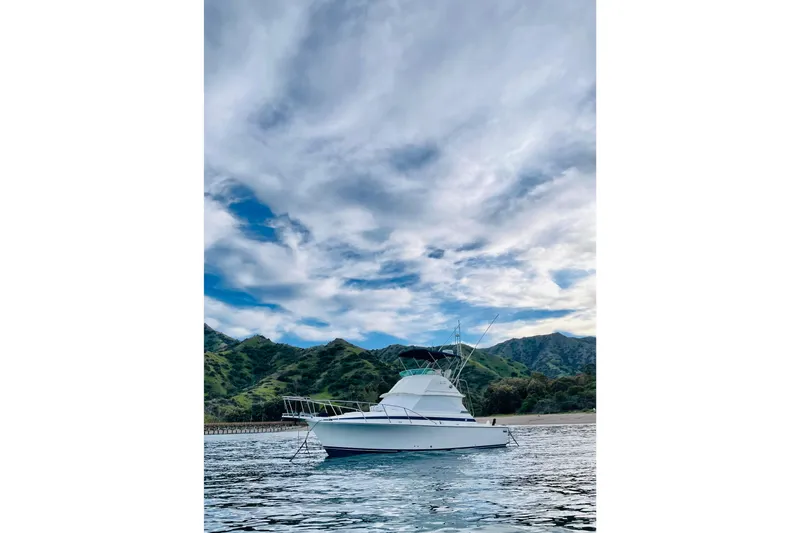 Slide: The Image of 1980 Bertram 35 Flybridge at Whites Landing. - 2