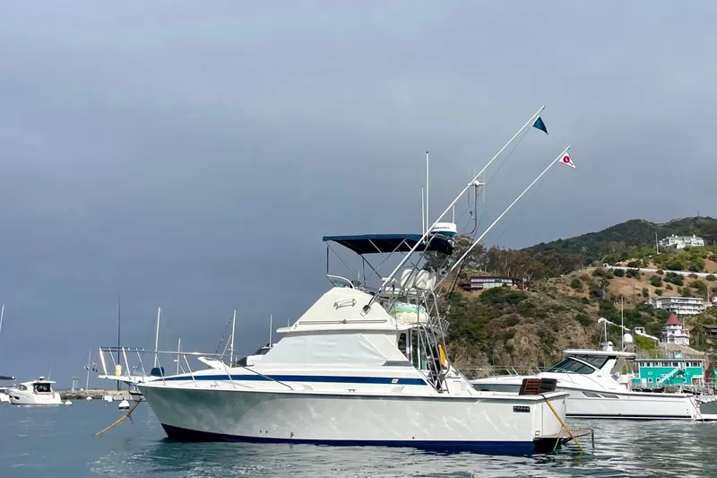 Slide: The Image of 1980 Bertram 35 Flybridge in Avalon, CA - 3