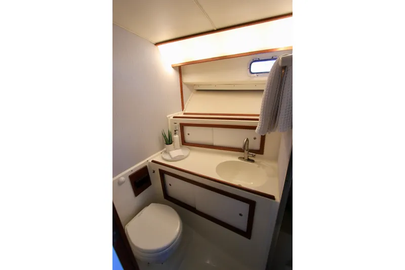 Slide: The Image of Electric MasterFlush head, sink and storage. - 48