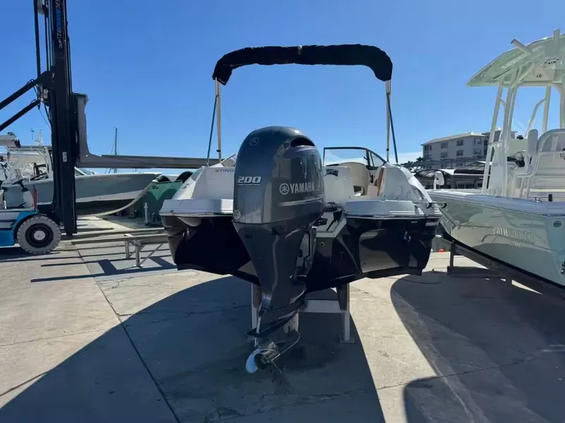 Slide: The Image of Stingray 211 DC 2024 - 4