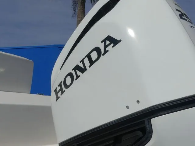 Slide: The Image of Cobia 240DC 2021 - 11