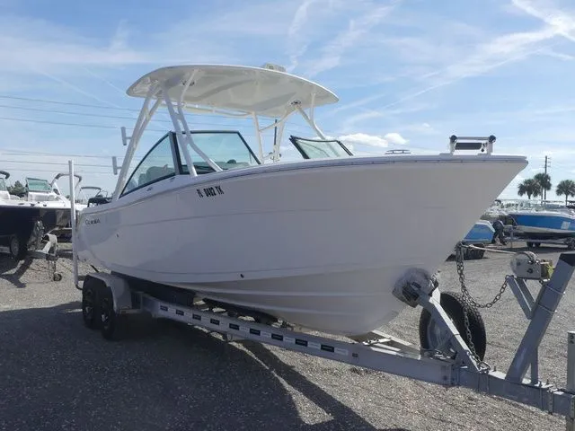 Slide: The Image of Cobia 240DC 2021 - 3