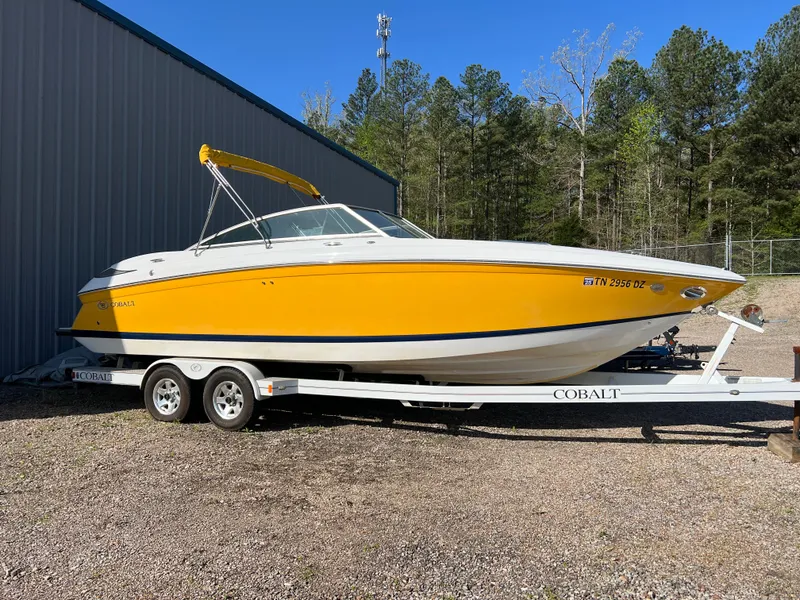 The Image of Cobalt 252 2008 - 1