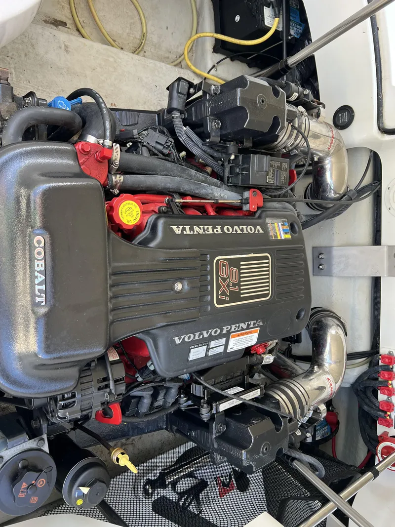 Slide: The Image of Cobalt 252 2008 - 5