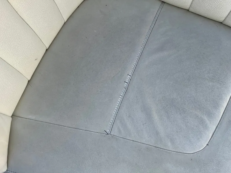 Slide: The Image of Cobalt 252 2008 - 6